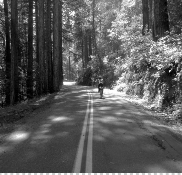 Cyclist on a forest road with the upper view blocked